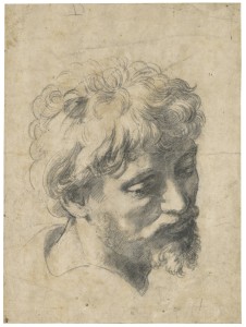 Raphael, Head of a Young Apostle, 1519-20. Black chalk, 38 x 28 cm.