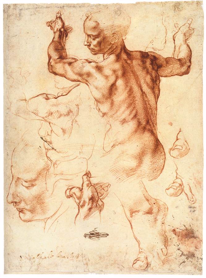 3-14 Michelangelo, Studies for the Libyan Sibyl. 1511-1512. Red chalk, 28.9 x 21.4 cm. Metropolitan Museum of Art, New York.