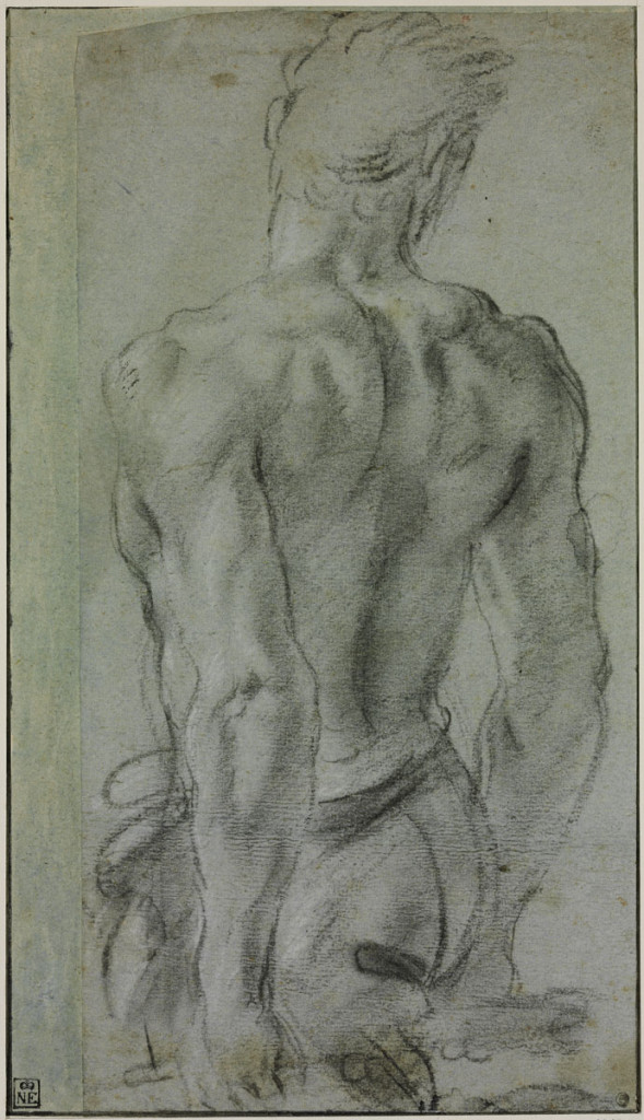 4-3 Annibale Carracci, Male Nude Seen from Behind, ca. 1593-1594. Charcoal heightened with white on gray-blue paper, 36.5 x 20.8 cm. Szépmüvészeti Müseum, Budapest