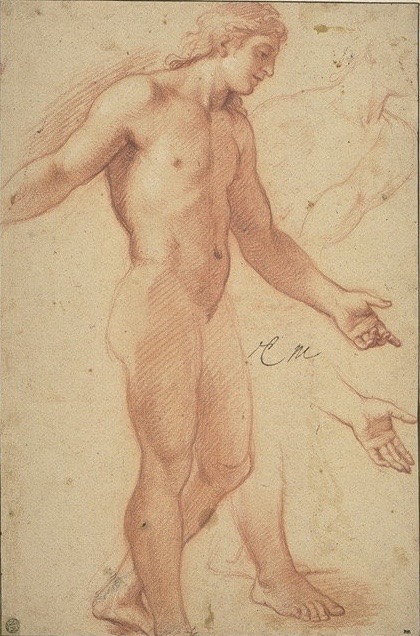 4-25 Charles Le Brun, Study for Alexander, 1660-1661. Red chalk heightened with white, 43.3 x 28.8 cm. Louvre Museum, Paris.