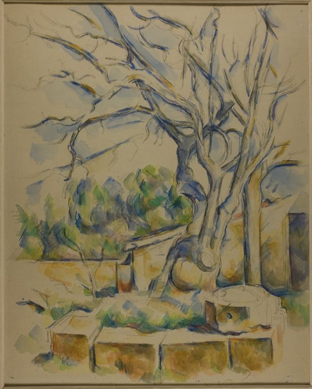 6-60 Paul Cézanne, Pistachio Tree at Chateau Noir, ca. 1900. Pencil and watercolor, 54.2 x 43.3 cm. Chicago, Art Institute.