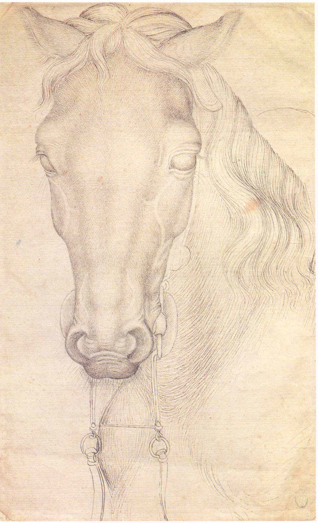2-7 Pisanello, Head of a Horse, ca. 1434-38. Pen and ink over metal- or leadpoint, 26.8 x 16.8 cm. Louvre Museum, Paris.